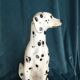 Dalmatian dog life size ceramic italian work circa 1970