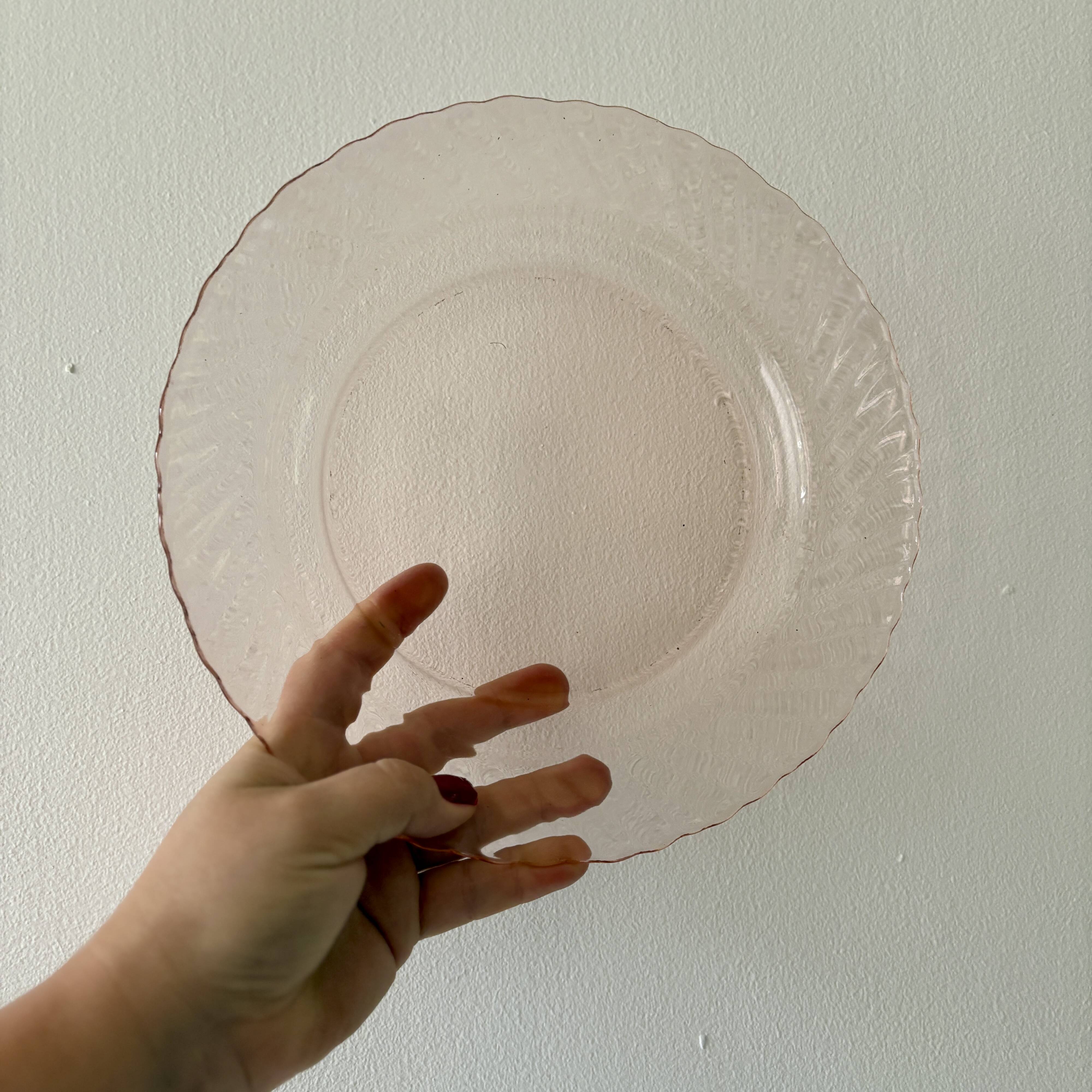 Set of 6 vintage Arcoroc rosaline soup plates