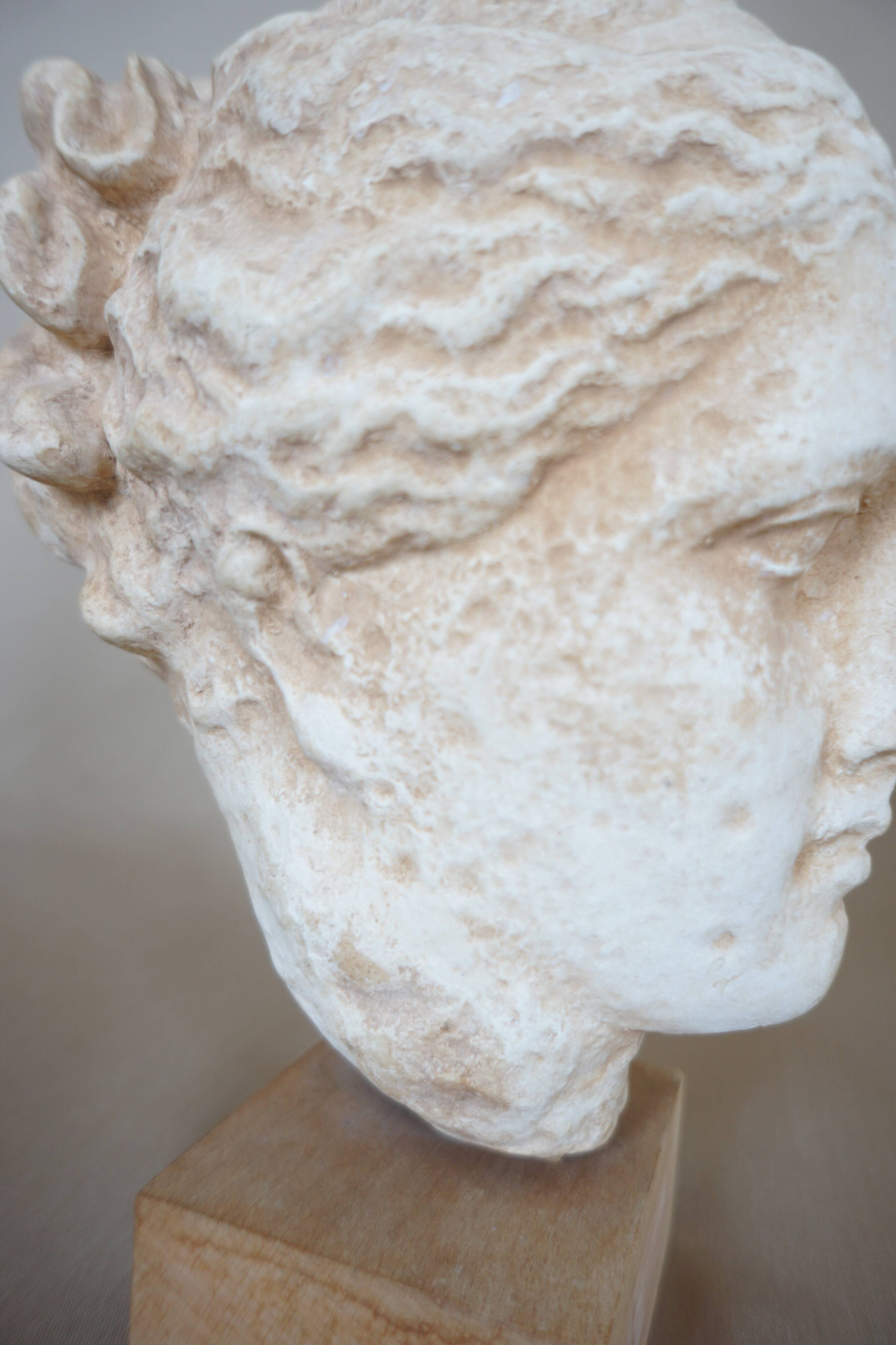 Head plaster goddess hygeia