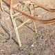 Child cart in bamboo and osier 1900