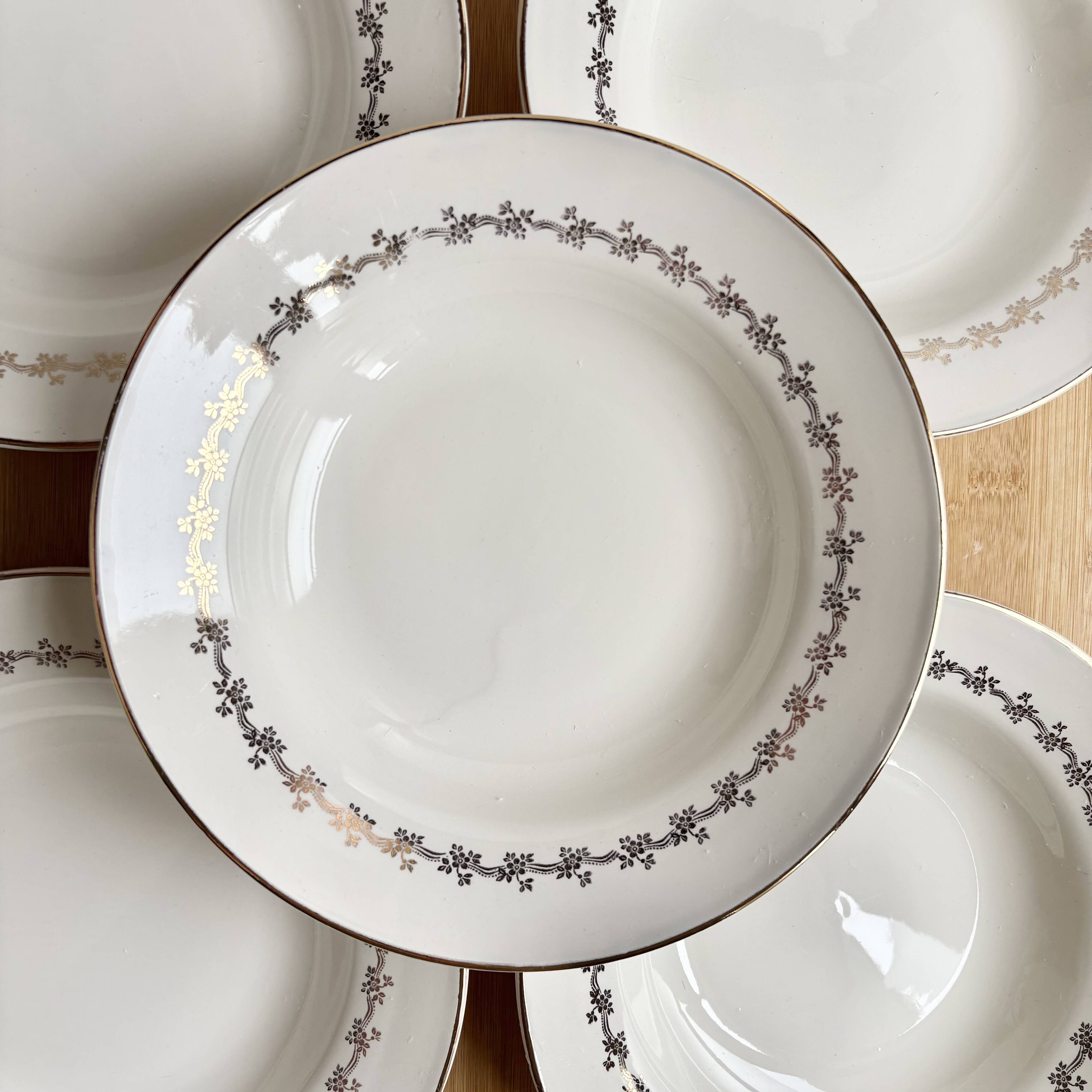 8 Digoin Sarreguemines plates