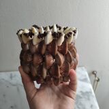 Shell vase