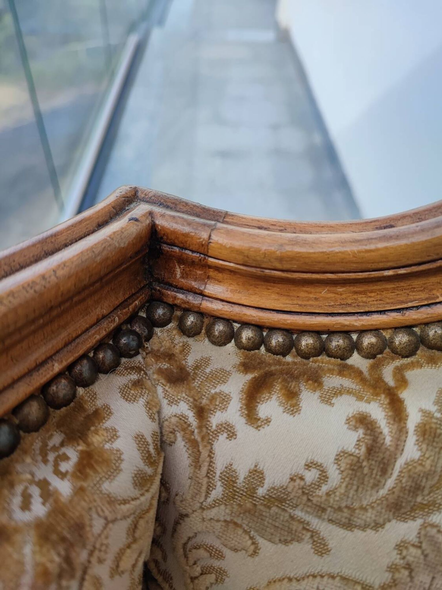 Grande bergère à oreilles
