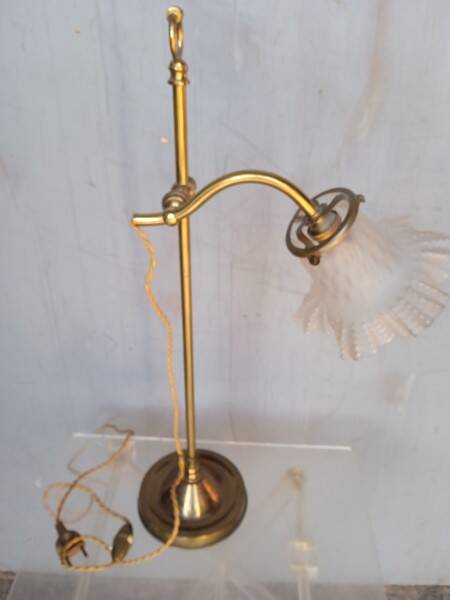 Tulip swan neck desk lamp in frosted glass