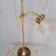Tulip swan neck desk lamp in frosted glass