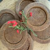 6 subplates in canning and rattan.