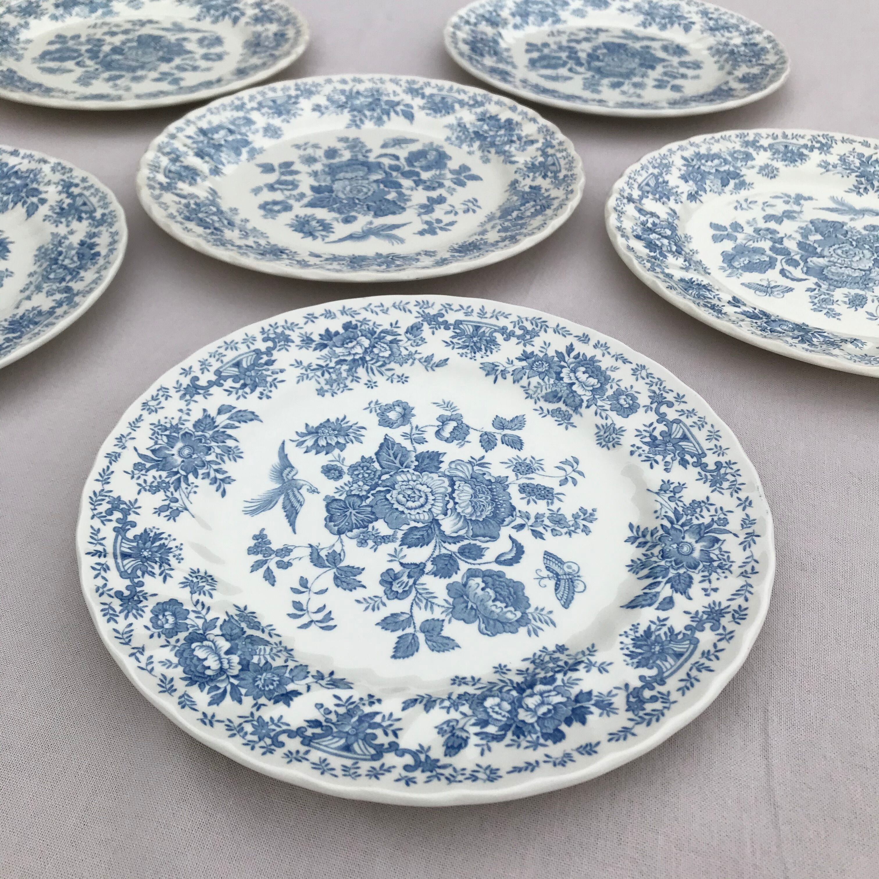Series of 6 flat plates in English porcelain