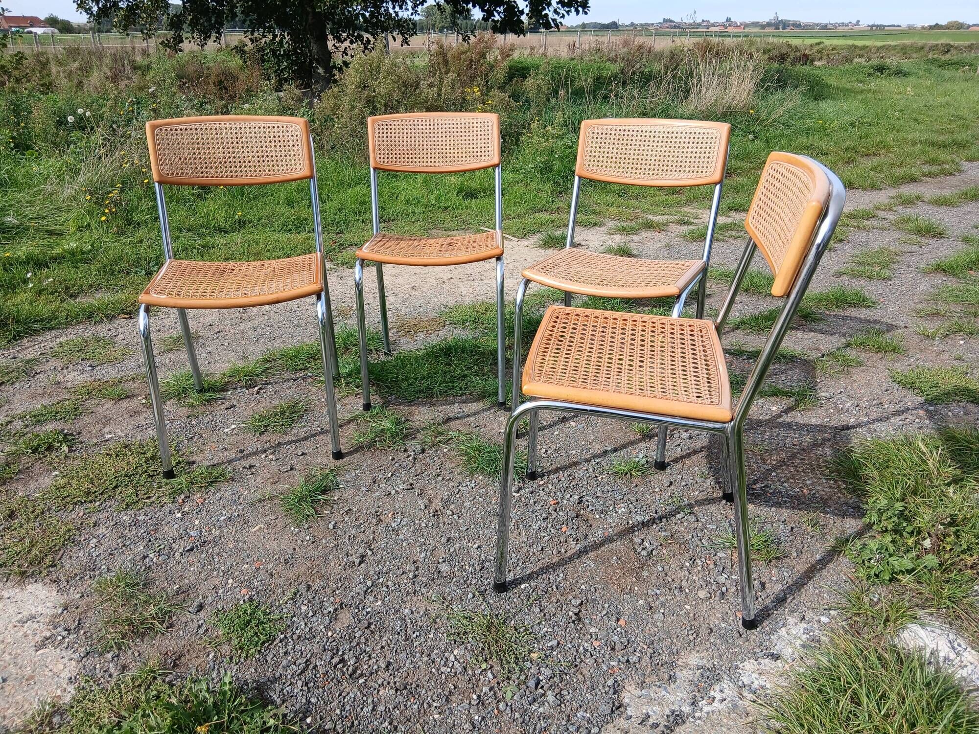 Cesca chairs