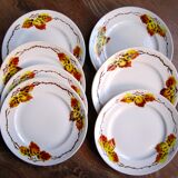 Plates years 40-50 "mill of the wolves"