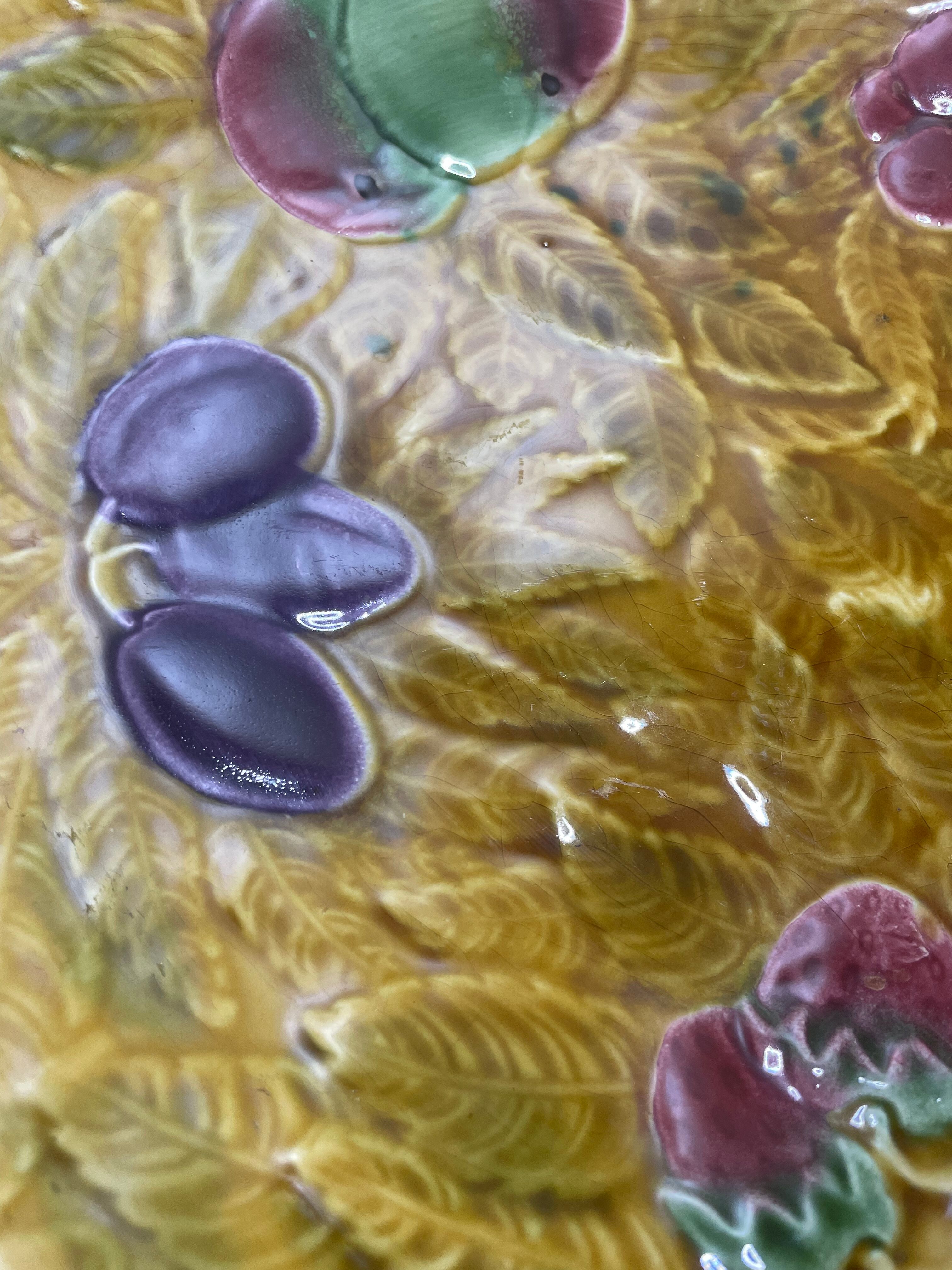 Fruit cup Sarreguemines