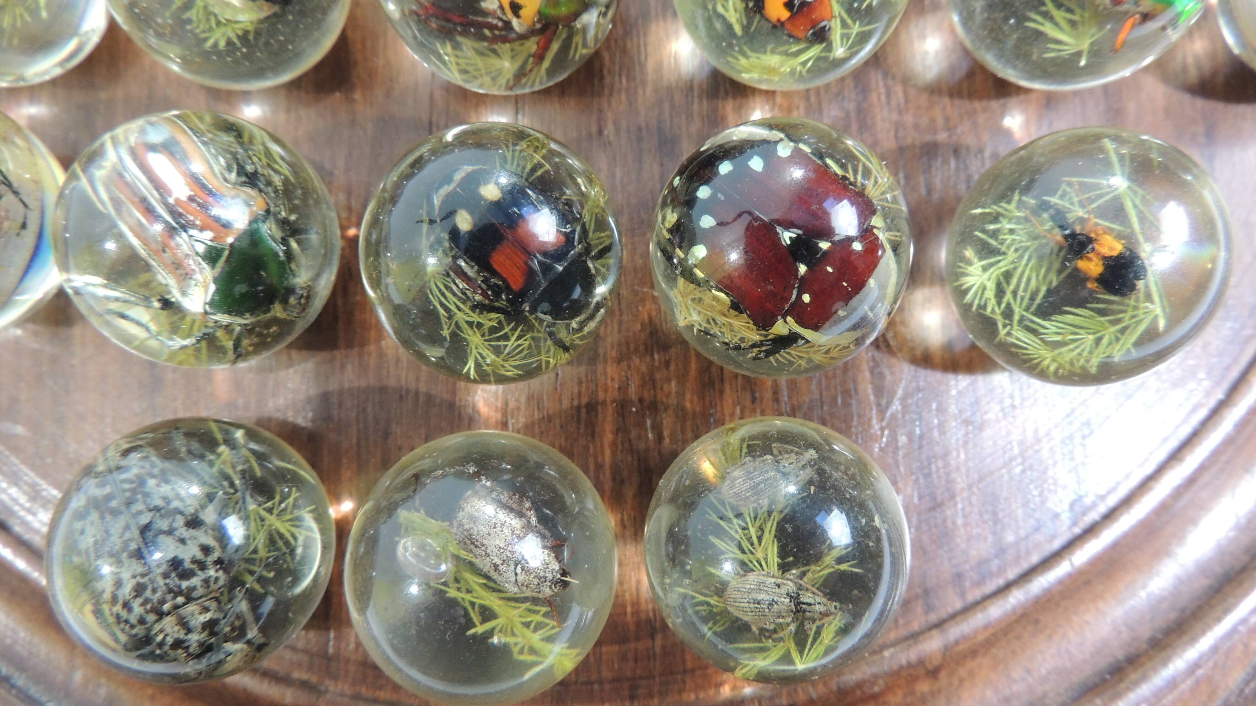 Vintage wooden carved solitaire game – Resin balls with insects –
