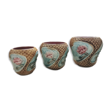 Vases plants in ancient dabbling
