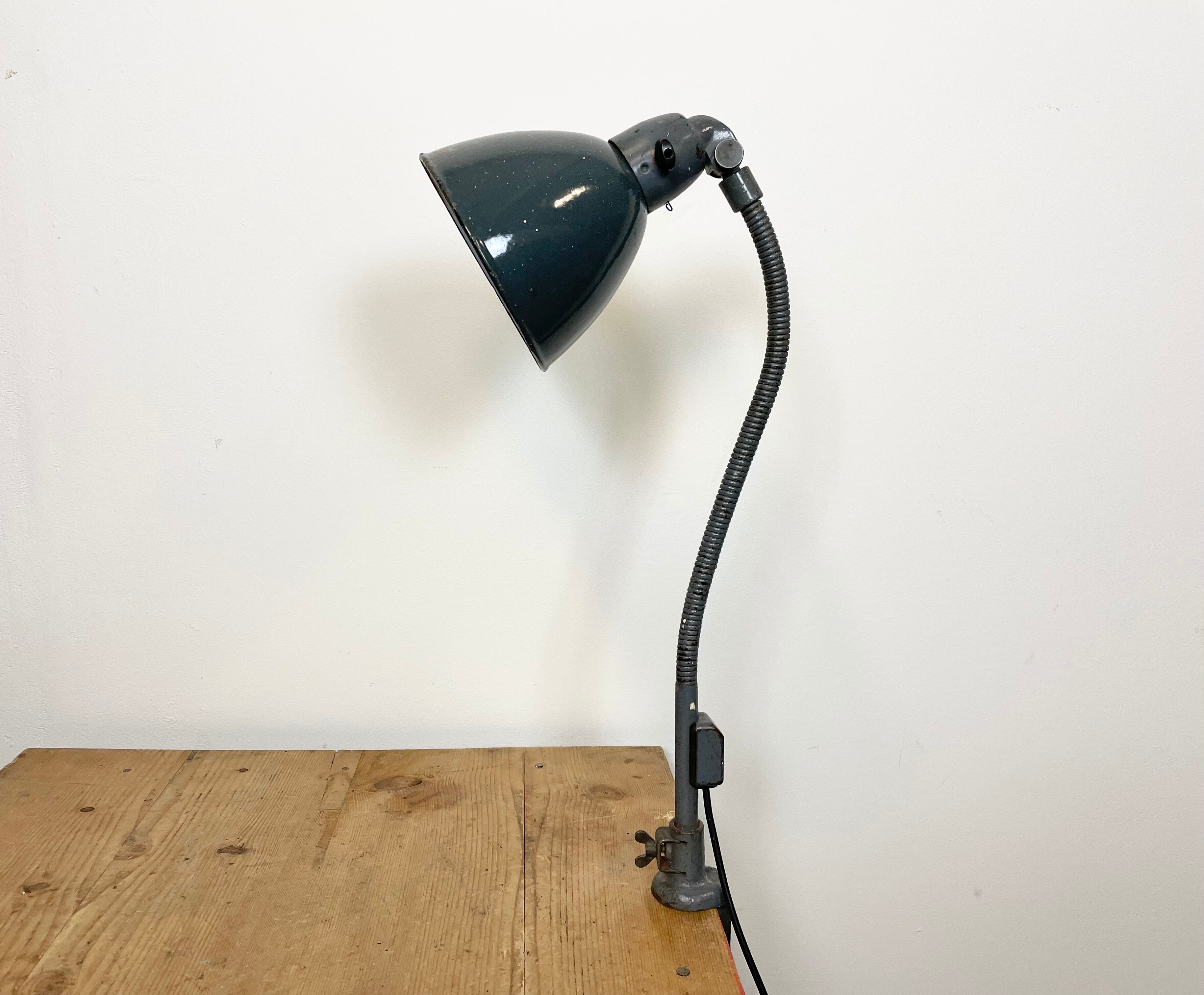 Industrial Grey Enamel Gooseneck Desk Lamp from Siemens, 1950s