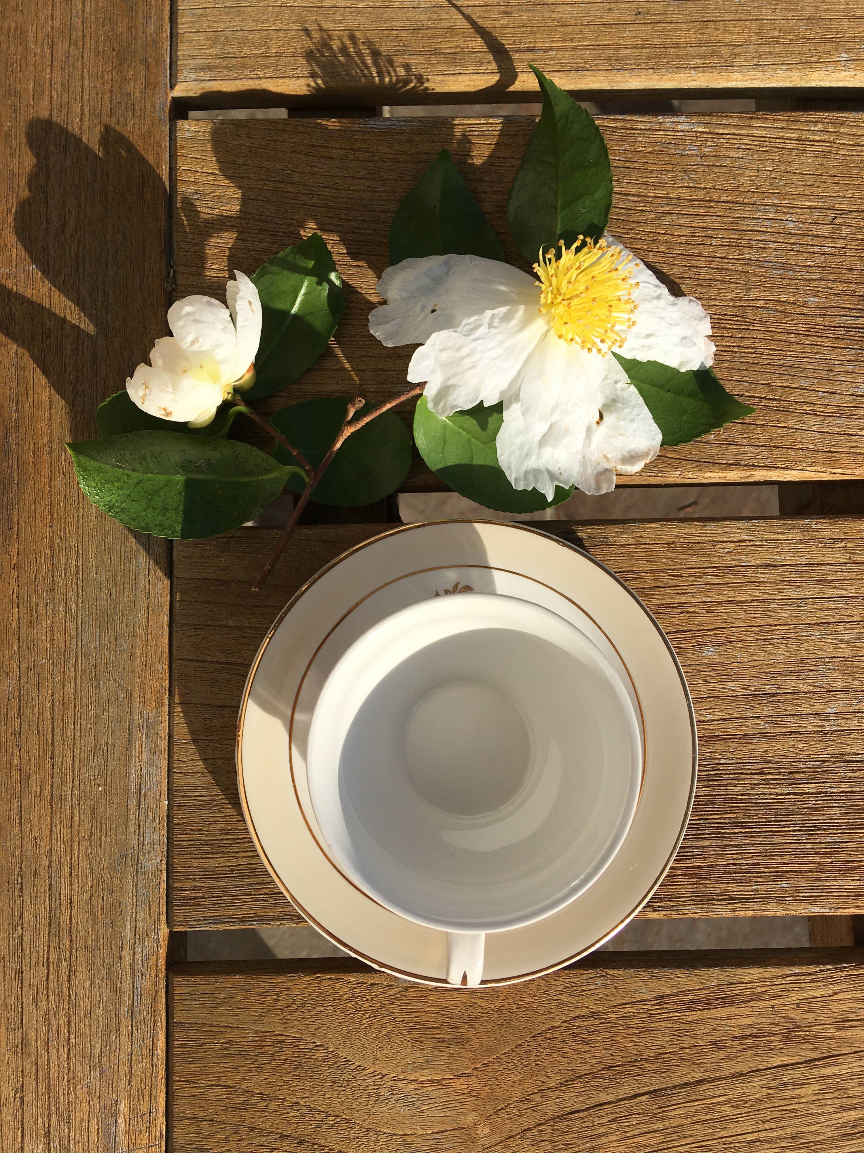 Coffee cups Faiencerie d'Orchies