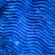 Vintage tuft caterpillar bedspread 220x250