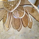 Lotus suspension in vintage cannage