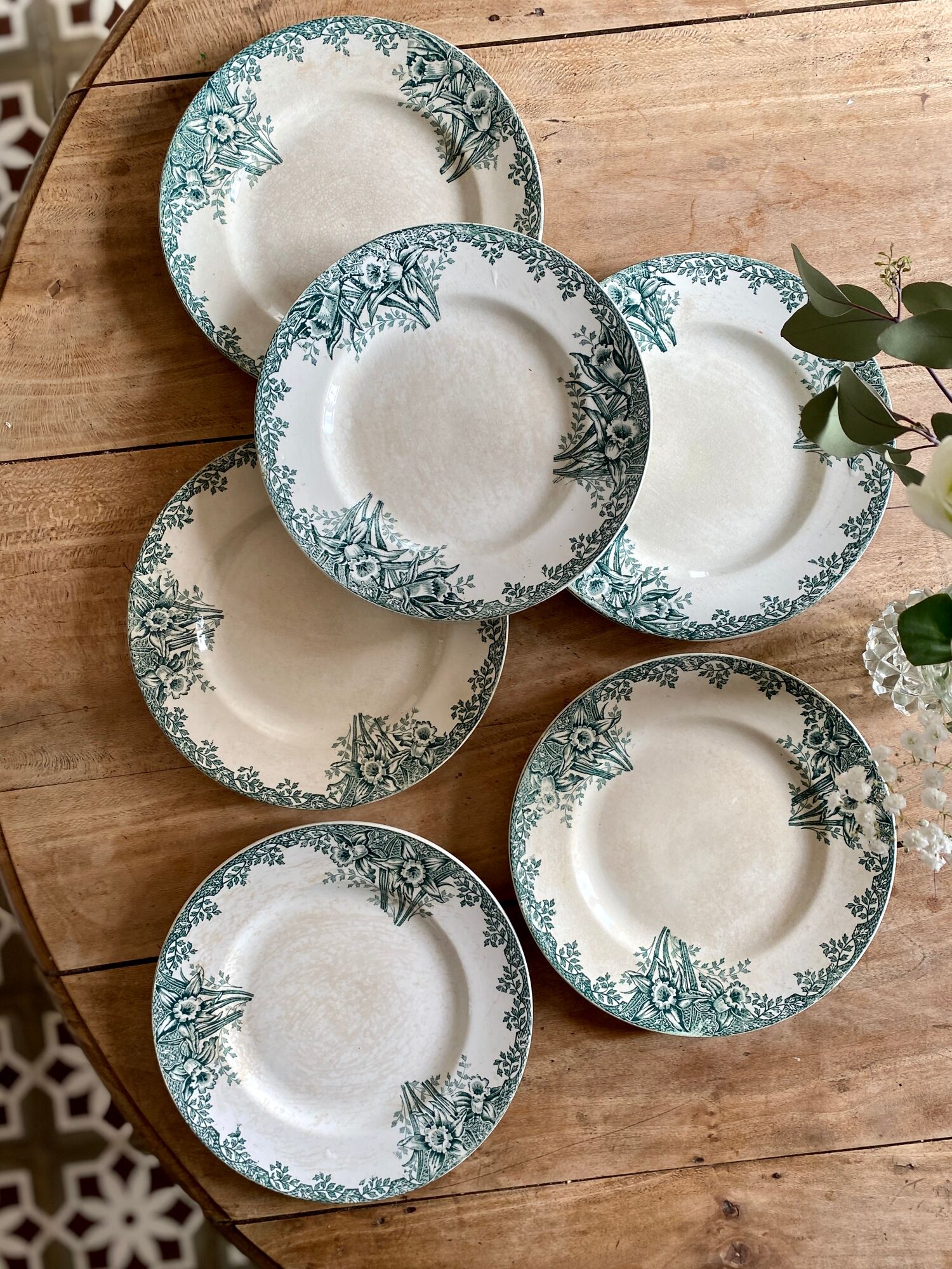 Set of 6 flat plates in iron earth model Narcisse de Saint Amand (LOT 4)
