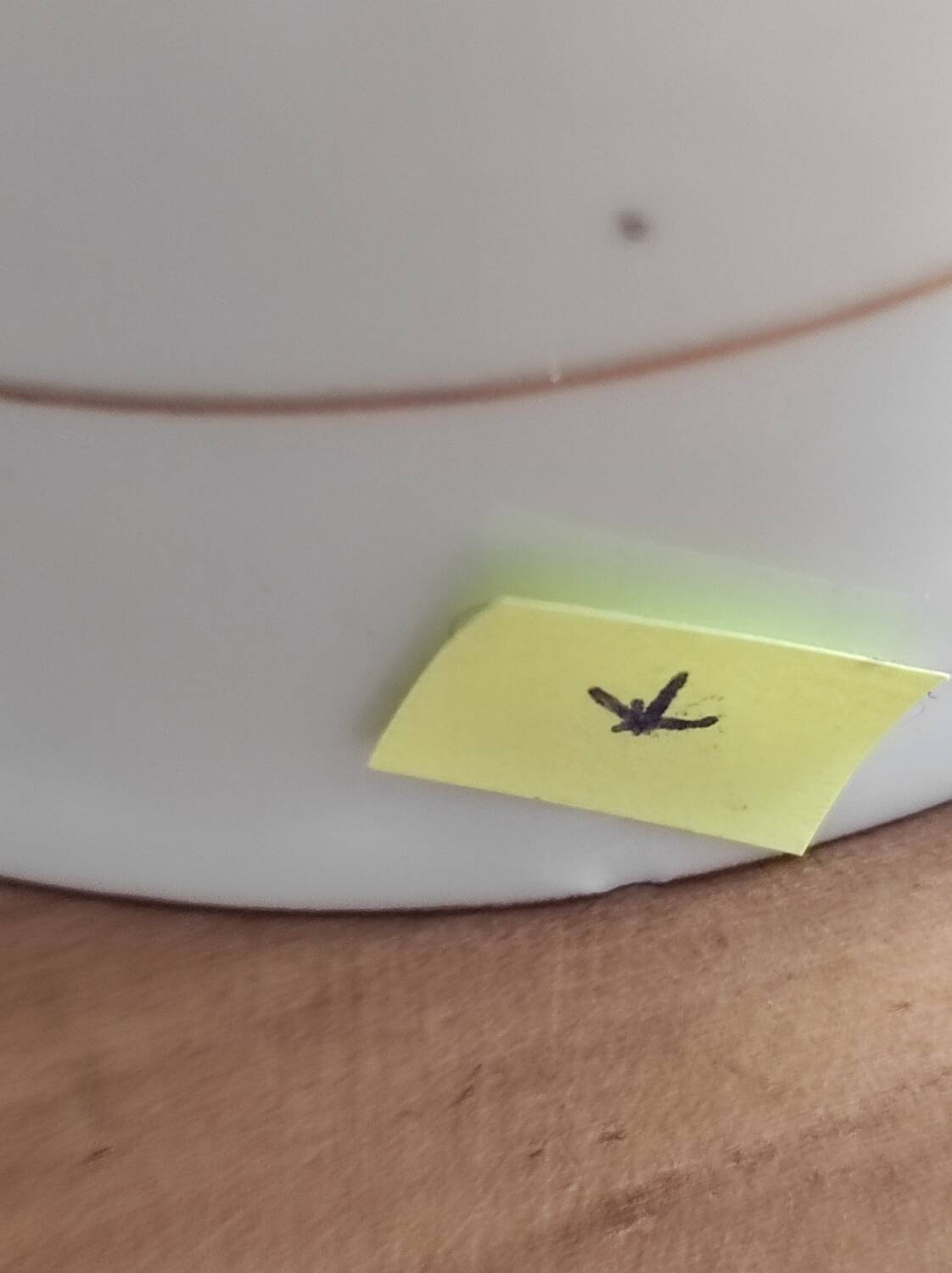 Sologne porcelain cup and saucer