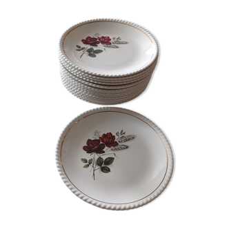 Lot de seize assiettes plates