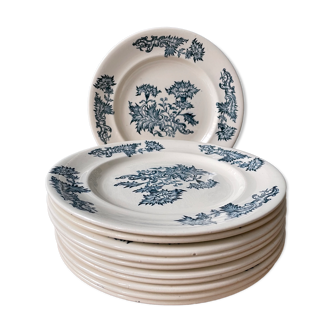 Set of 11 small earthenware dessert plates from Longwy XIXth