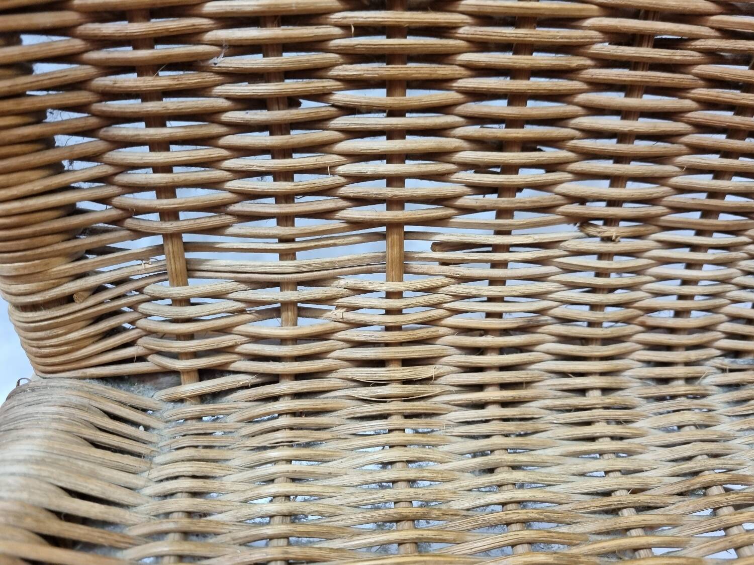 Rattan armchair from 1950