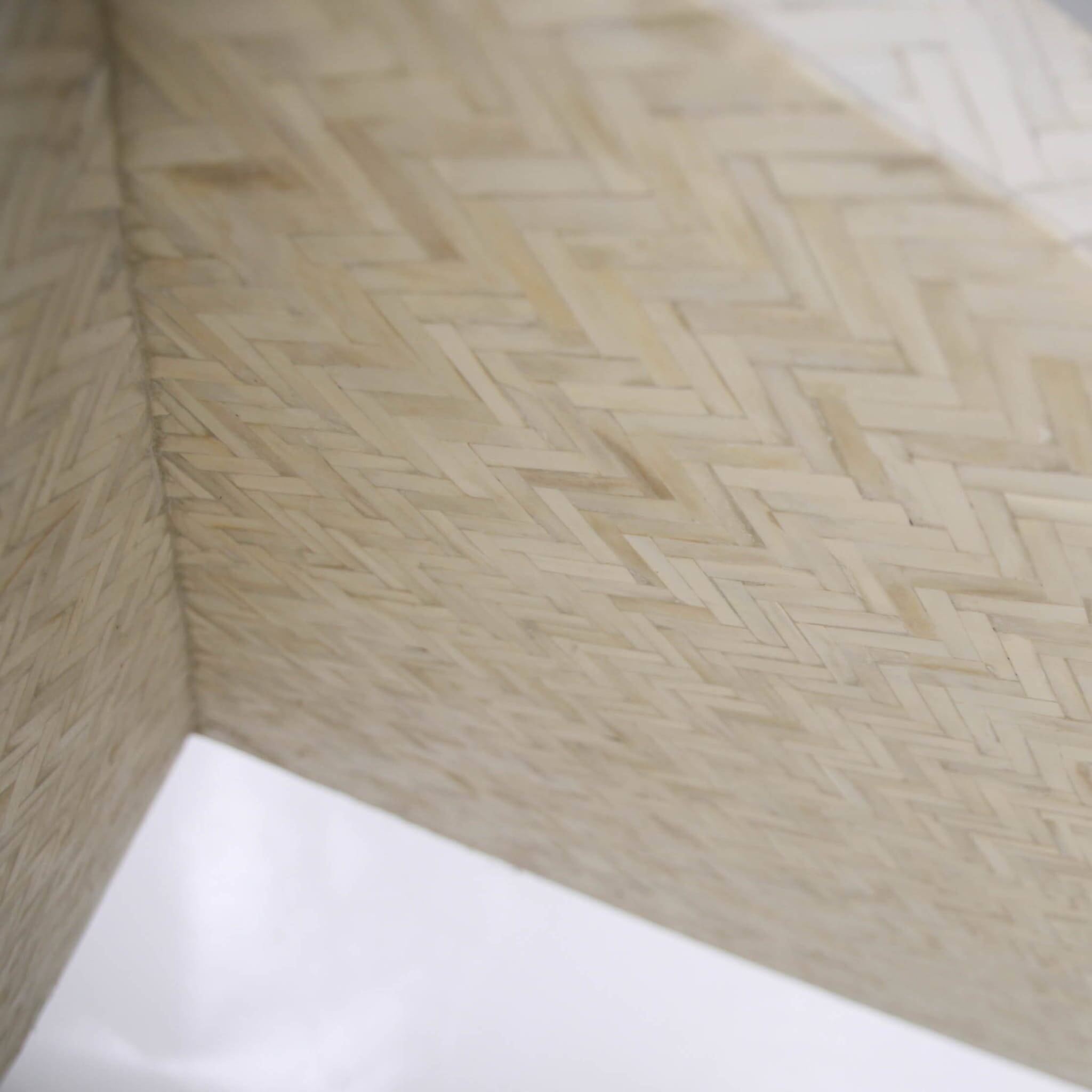 Coffee table in bone.