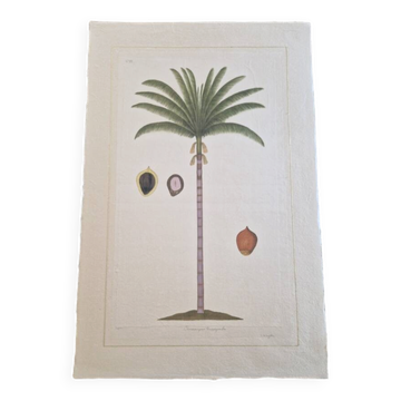 La Roche Laffitte (Born in 1943) - Watercolour drawing on silk - Palm tree