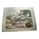 Gravure ancienne de 1886. Coquillages et mollusques (2) Mer, plage et océan