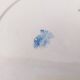 Badonviller Rose porcelain dinner plates