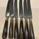 6 dessert knives + serving cutlery with horn handle