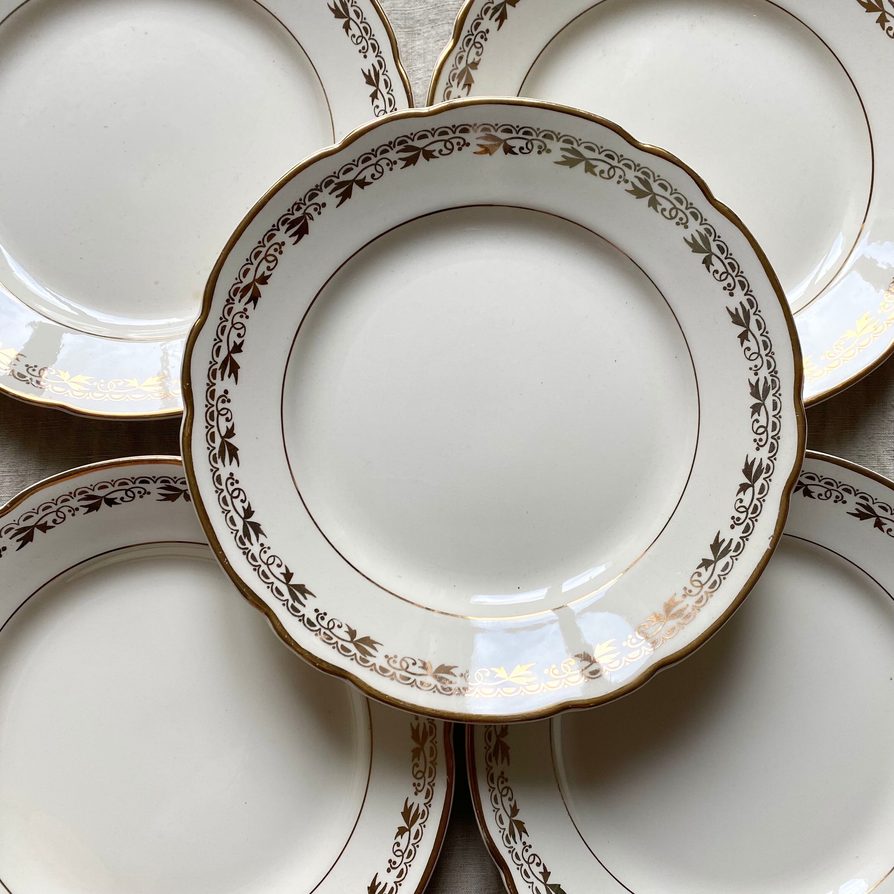 12 Villeroy and Boch dessert plates
