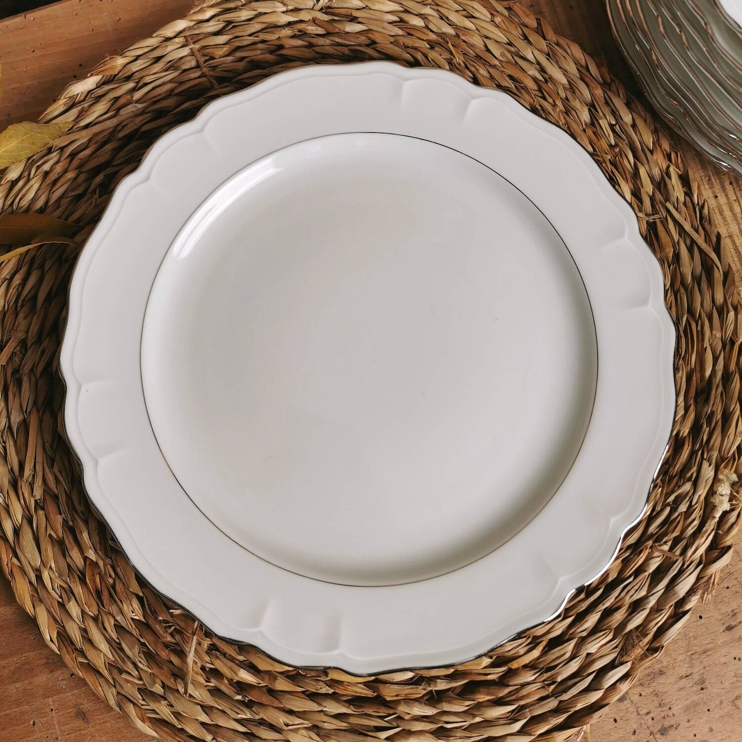 6 Limoges porcelain dinner plates