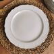 6 Limoges porcelain dinner plates