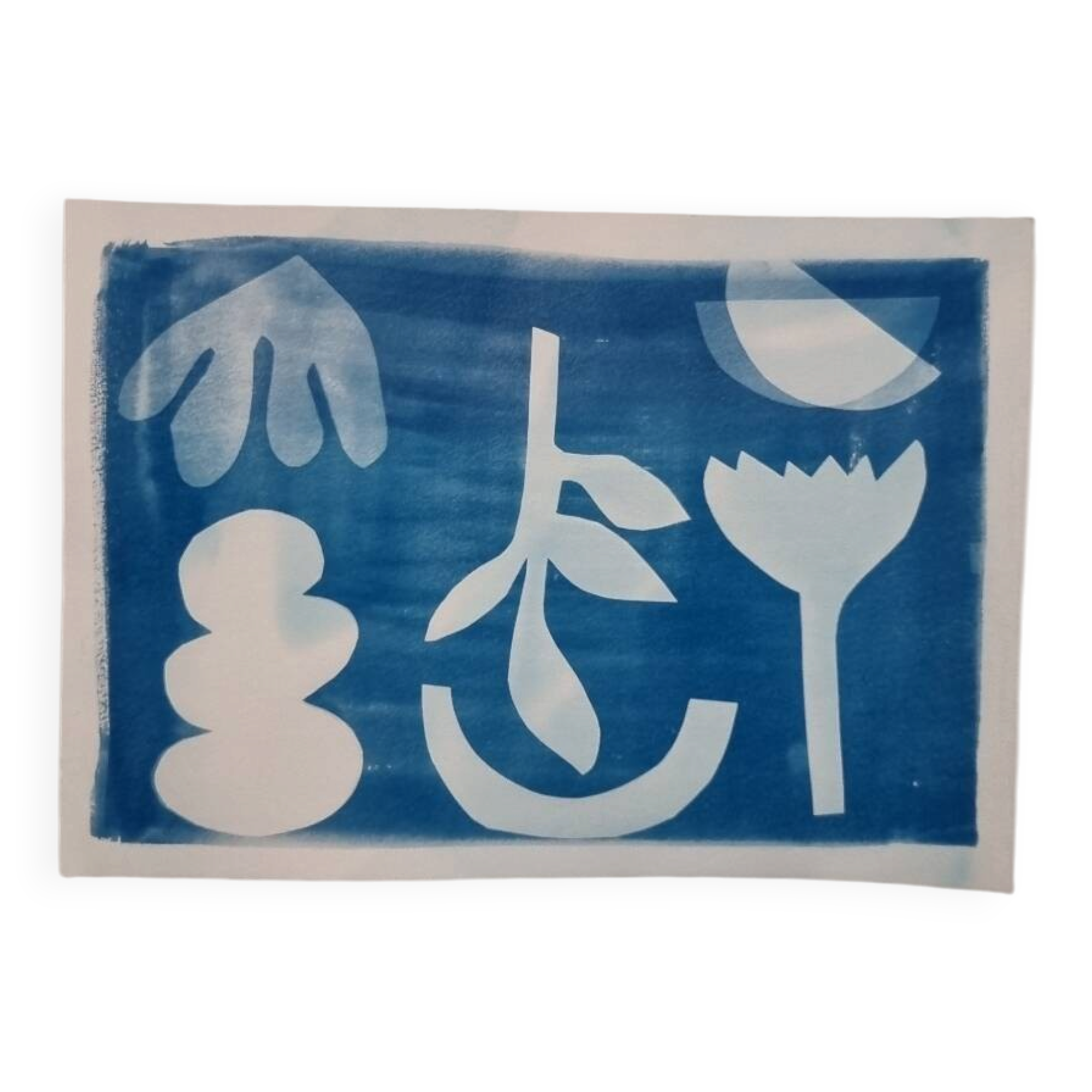 Graphical cyanotype