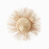 Rattan wall hedgehog head for children hedi