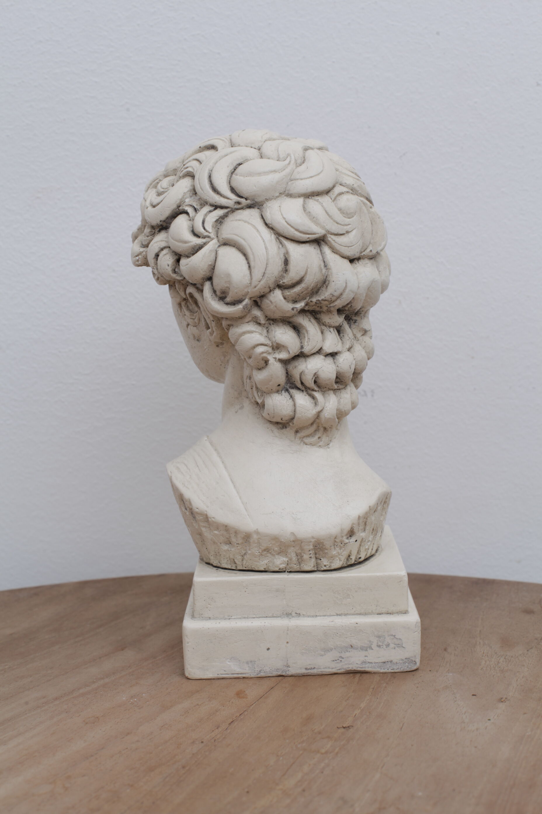 David head in waxed ivory white plaster