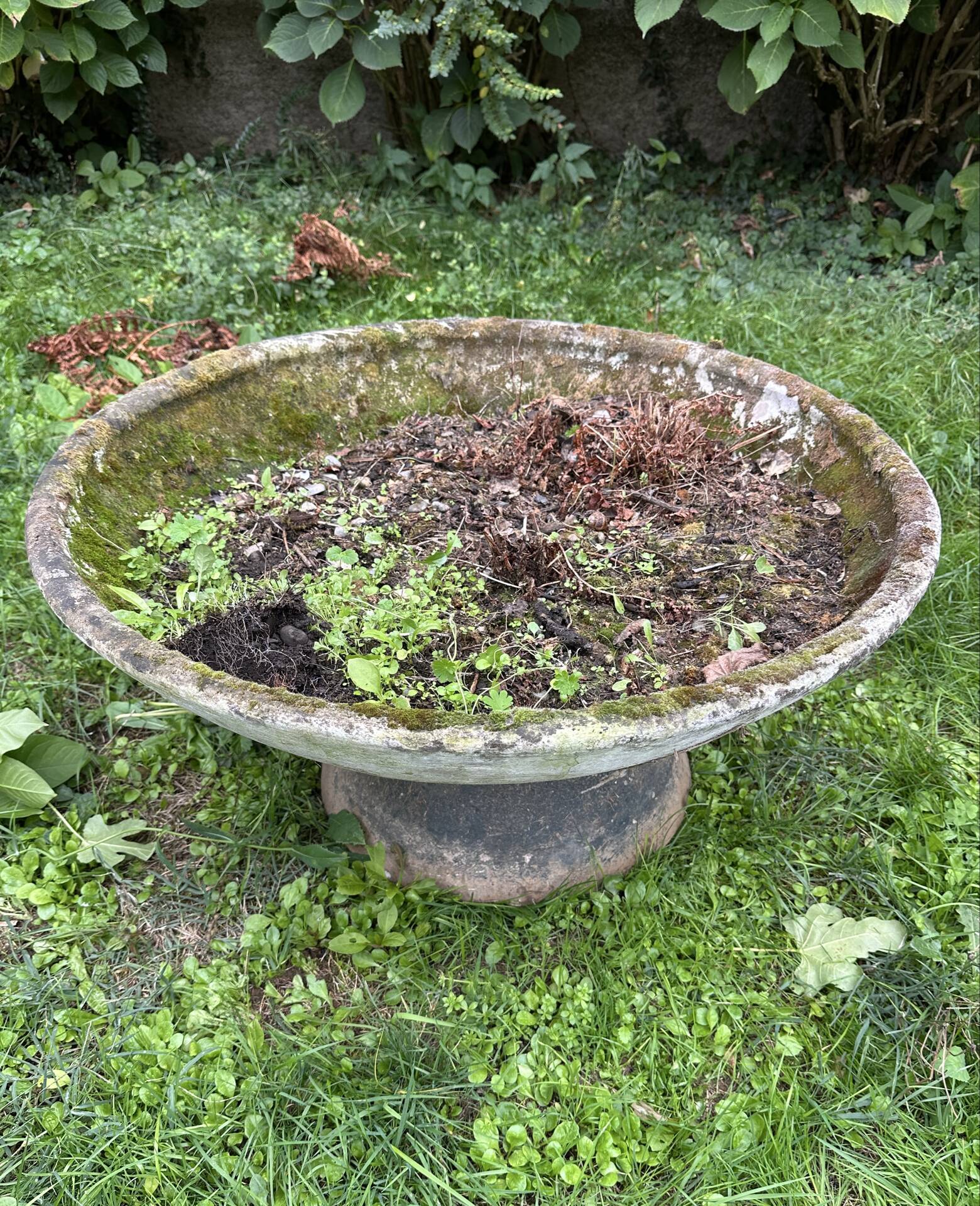 Old planter, pedestal basin in fibrociment by Willy Guillaume.