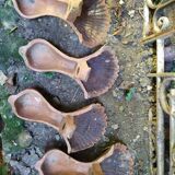 Cast iron bathtub legs