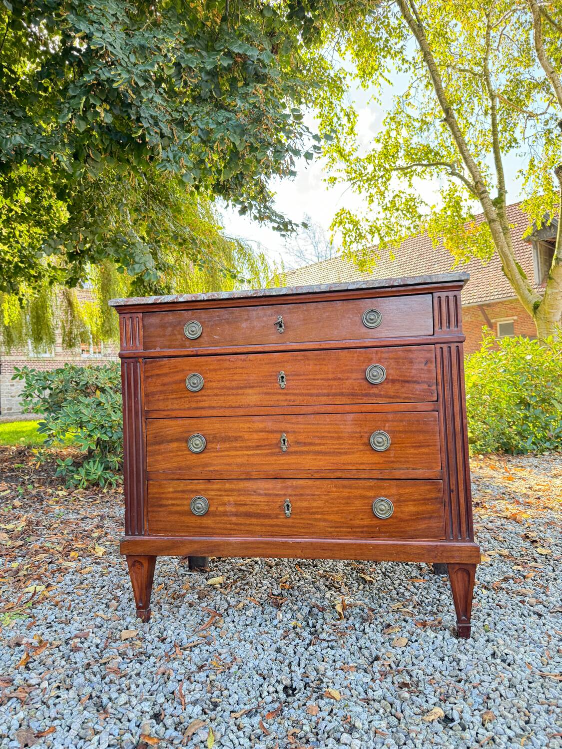 Louis XVI Style Mahogany Chest of Drawers, 19th Century