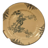 Plat e terre de fer,choisi-le-roi