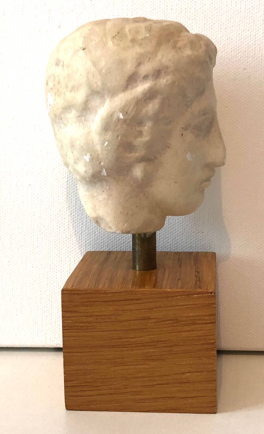 Plaster Head Greek Man