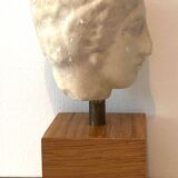 Plaster Head Greek Man