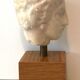 Plaster Head Greek Man