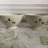 Set of 2 large Sarreguemines bowls - Vintage