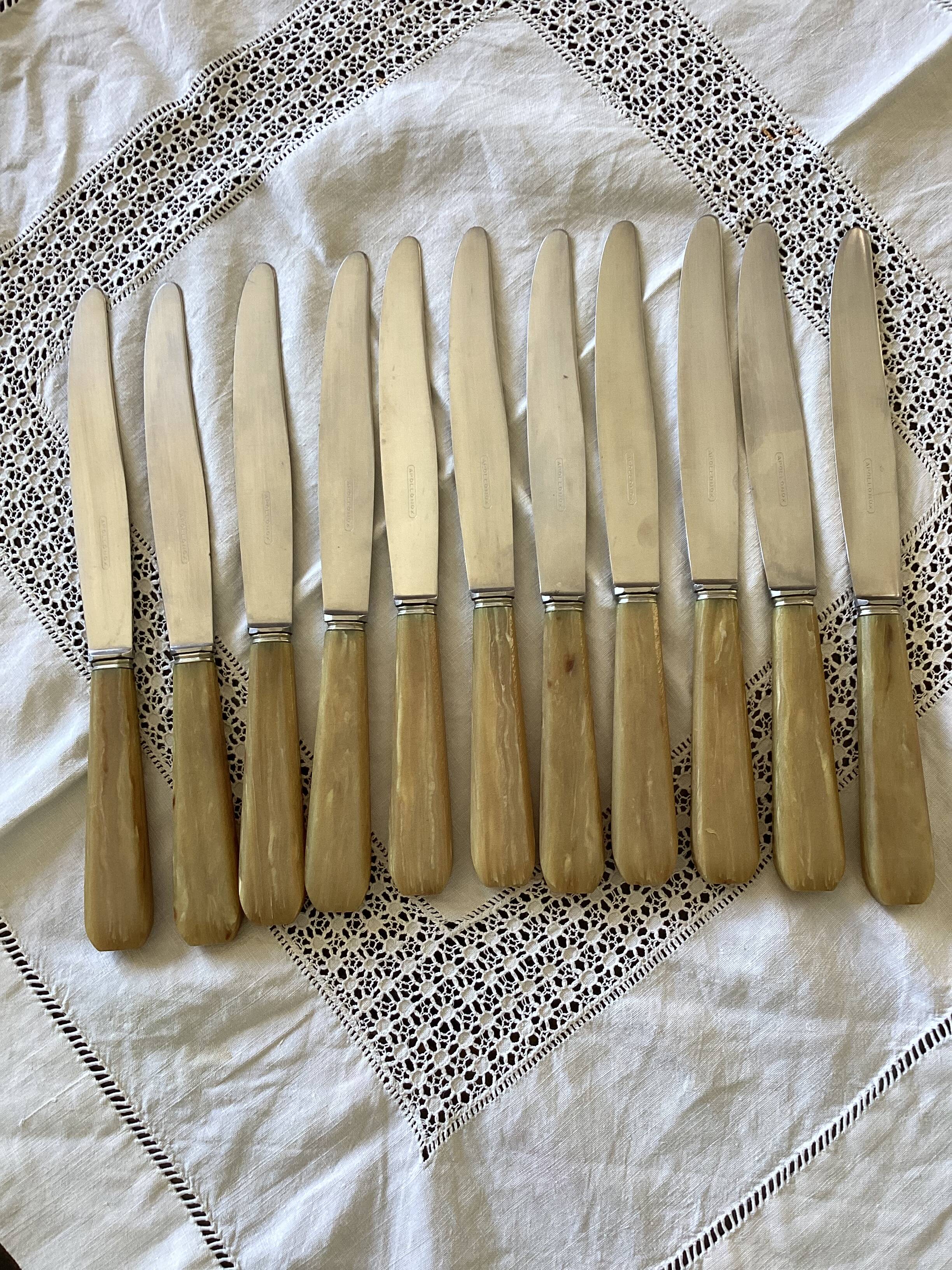 Set of 11 Apollonox table knives in a box