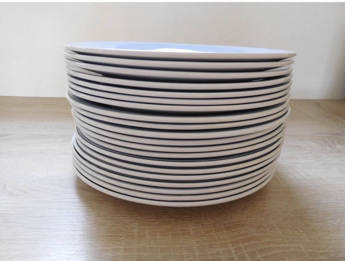 Flat plates Digoin Sarreguemines model Albe