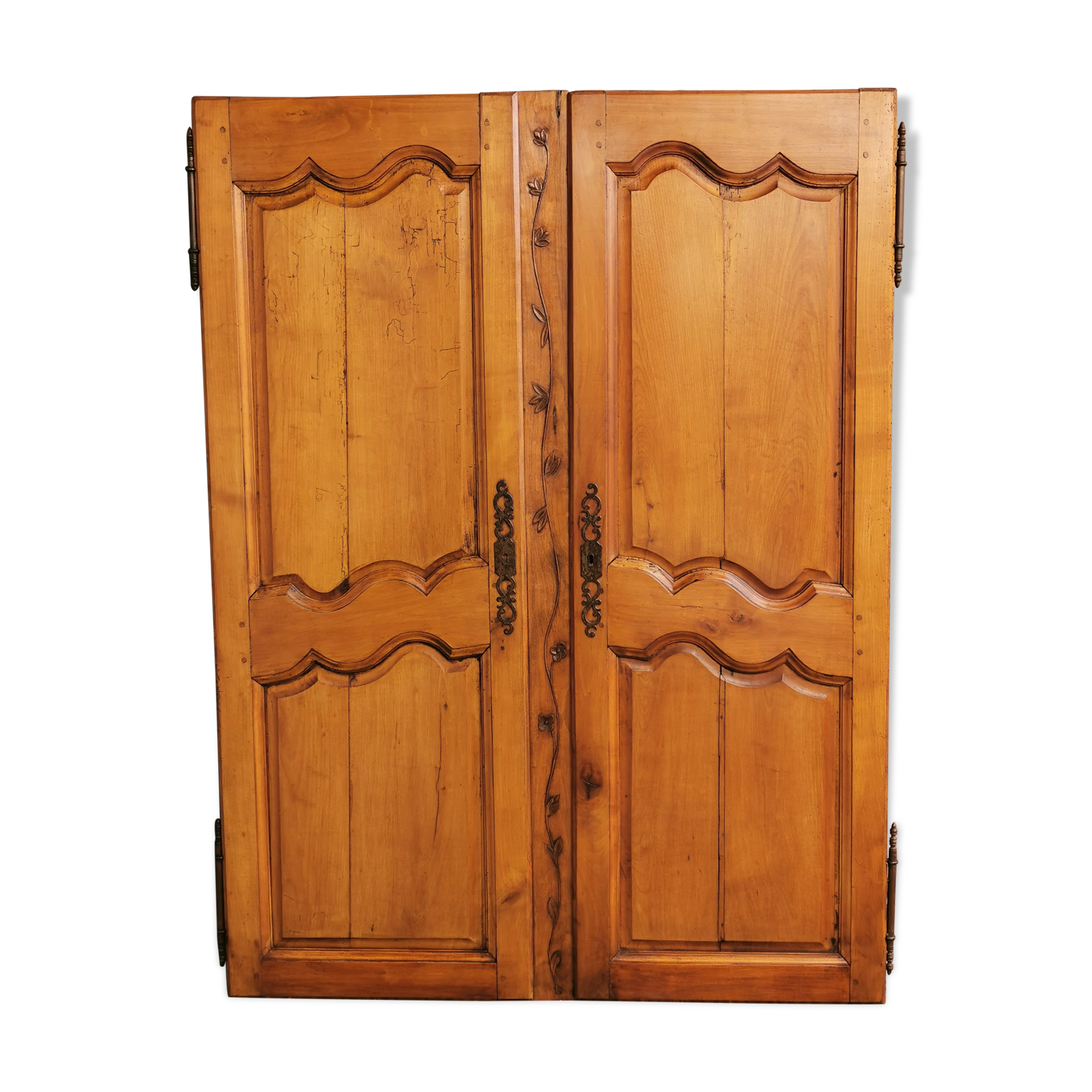 Paire de portes d'armoire ancienne XlXème