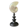 Nautilus / Pearly Nautilus, Black Turned Wood Base H: 23 cm
