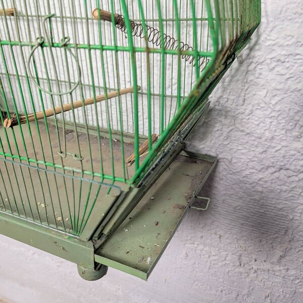 Ancienne Cage à Oiseau Verte