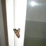 Industrial showcase medical